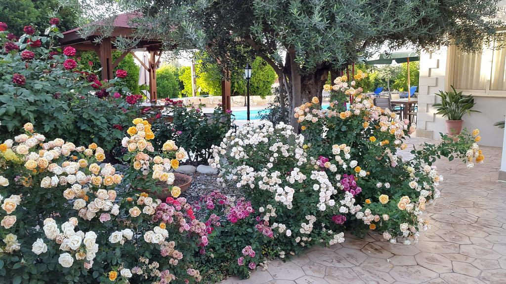 Jaime Villa Cyprus 아르가카 외부 사진